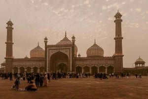 Privat guidad tur i New Delhi och Old Delhi i 4–8 timmar