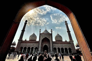 Частный комбинированный тур на целый день по Старому и Нью-Дели