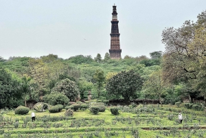 Частный комбинированный тур на целый день по Старому и Нью-Дели