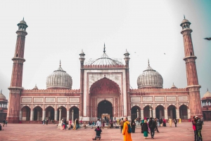 Tour privado de día completo de Nueva y Vieja Delhi, Qutub Minar y tkt.