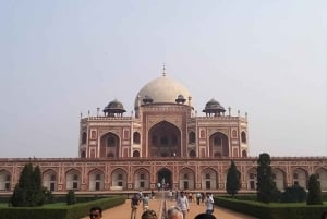 Tour de 1 día por Delhi con guía, entradas y almuerzo