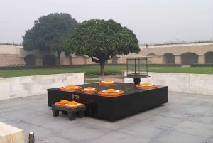 Tour de 1 día por Delhi con guía, entradas y almuerzo