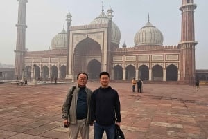 Tour de 1 día por Delhi con guía, entradas y almuerzo
