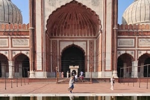 Tour de 1 día por Delhi con guía, entradas y almuerzo