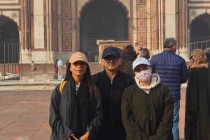 Tour de 1 día por Delhi con guía, entradas y almuerzo