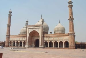Nueva y Vieja Delhi: tour de 1 día con guía de habla alemana