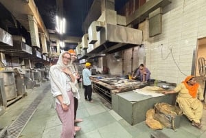 Nueva y Vieja Delhi: tour de 1 día con guía de habla alemana