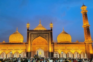 Ganztagestour oder Halbtagestour Private Führung durch Alt- und Neu-Delhi