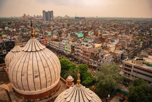 Ganztagestour oder Halbtagestour Private Führung durch Alt- und Neu-Delhi