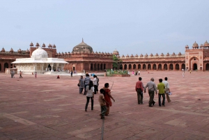 Gouden Taj rondleidingen (Delhi - Agra - Jaipur)