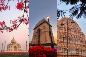 Tour por el Triángulo Dorado de la India - 6 días: Delhi, Agra, Jaipur