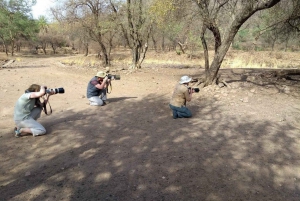 Tour del Triangolo d'Oro con safari della tigre di Ranthambor da Delhi