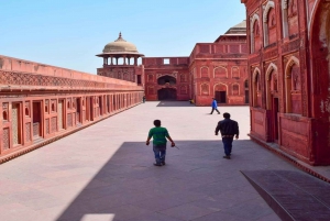 Tour del Triangolo d'Oro con safari della tigre di Ranthambor da Delhi