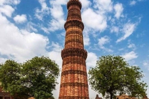 Delhi: Private Half-Day City Tour with Pickup & Highlights