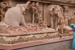 Visite d'une demi-journée des temples de Delhi, avec prise en charge et retour.