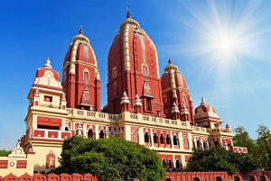 Demi-journée de visite des temples à Delhi avec transferts et guide