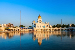 Demi-journée de visite des temples à Delhi avec transferts et guide