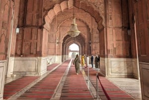 Heritage & Harmony: A Complete Delhi in a Day Experience