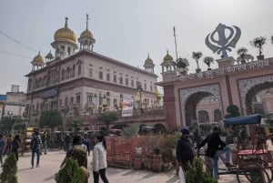 Heritage & Harmony: A Complete Delhi in a Day Experience