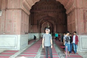 Heritage & Harmony: A Complete Delhi in a Day Experience