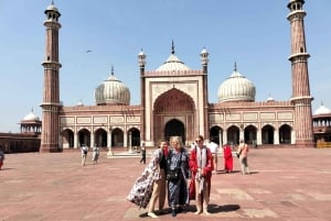 Heritage & Harmony: A Complete Delhi in a Day Experience