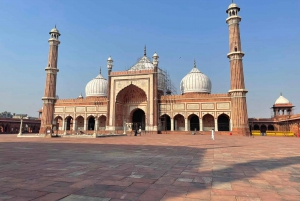 Les joyaux cachés de Delhi - Excursions d'une demi-journée ou d'une journée entière