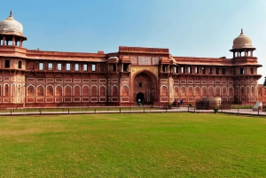 Incredible India 3 Days Tour inkludert: Delhi, Agra og Jaipur