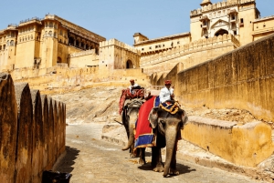 Jaipur Private City Tour with Guide, Car & Skip-the-Line