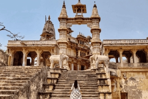 Jaipur Private City Tour with Guide, Car & Skip-the-Line