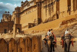 Jaipur Private City Tour with Guide, Car & Skip-the-Line
