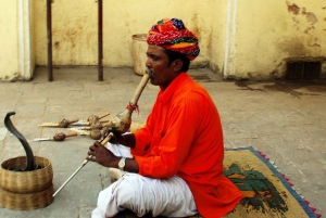 Jaipur: Privétour door de stad met optioneel buffet en tickets