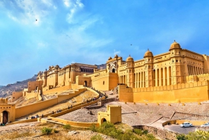 Jaipur: Private City Tour with Optional Buffet and Tickets