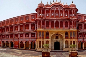 Jaipur & Sariska: 2-dages tur med kulturarv og dyreliv fra Delhi