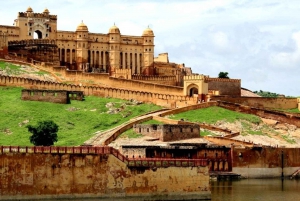 Jaipur y Sariska: Excursión de 2 días por el Patrimonio y la Vida Salvaje desde Delhi