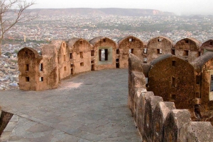 Jaipur et Sariska : Circuit de 2 jours au départ de Delhi pour découvrir le patrimoine et la vie sauvage