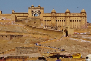 Jaipur y Sariska: Excursión de 2 días por el Patrimonio y la Vida Salvaje desde Delhi