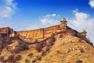 Jaipur & Sariska: 2-tägige Heritage & Wildlife Tour ab Delhi