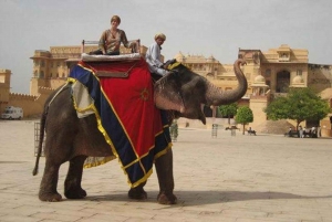 Visite de Jaipur (ville rose) en voiture depuis Delhi - Tout compris