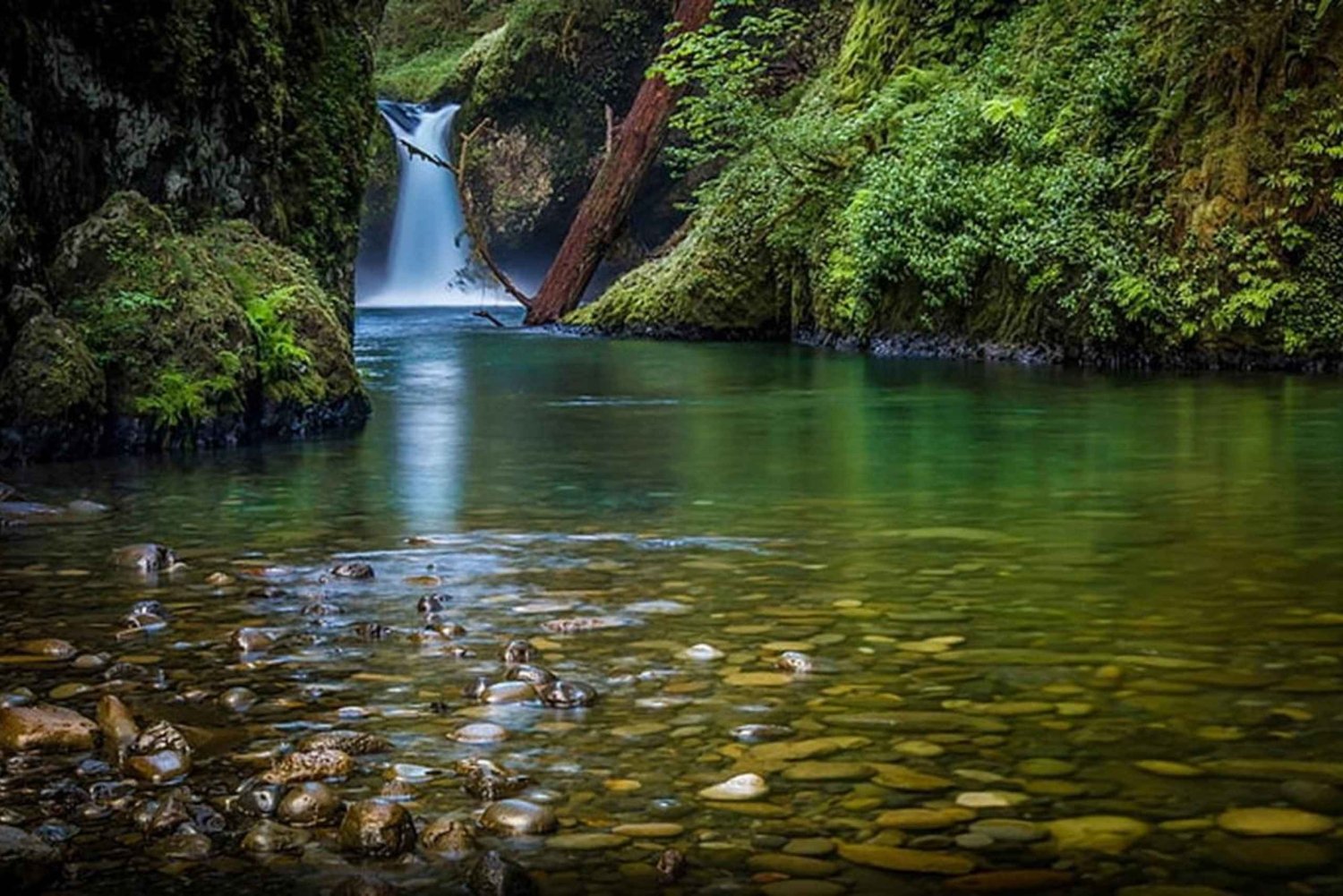 Jungle Trails & Tiger Tales: 3-daagse dubbele safari naar Jim Corbett