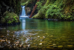 Jungle Trails & Tiger Tales: 3-dages dobbelt safari til Jim Corbett