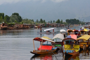 Magische Kashmir-tour