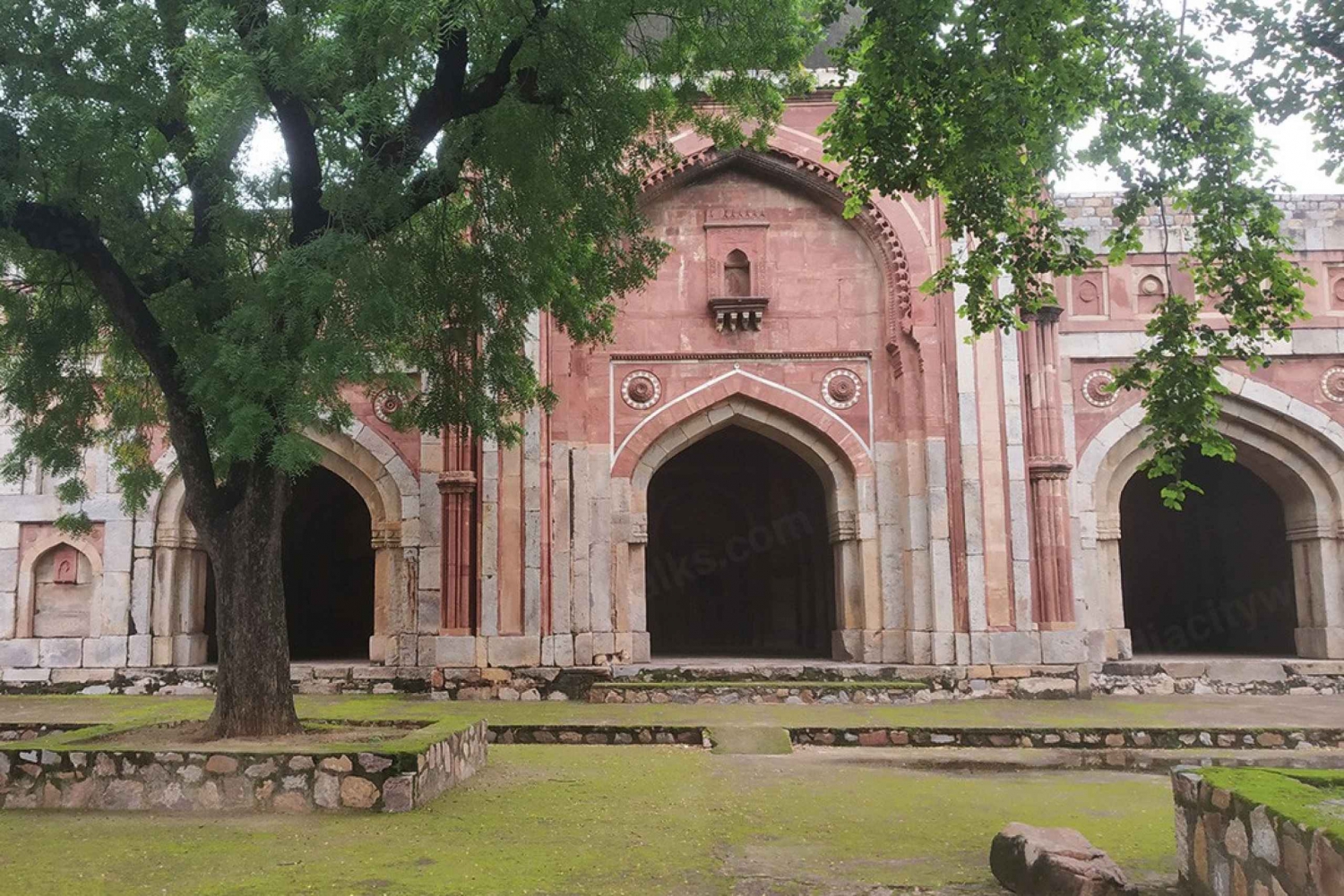 Caminhada pelo Parque Arqueológico Mehrauli