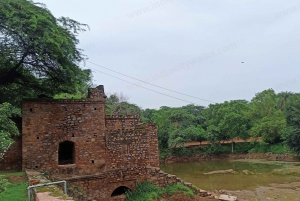 Spacer po parku archeologicznym Mehrauli