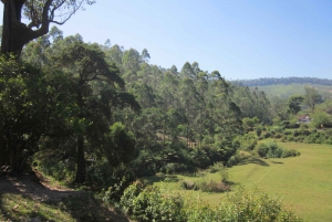 Safari in jeep e trekking in montagna a Munnar