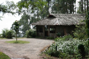 Safari in jeep e trekking in montagna a Munnar