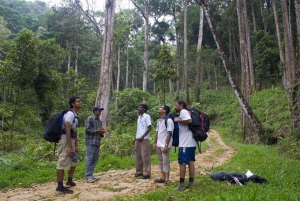 Safari en jeep et trekking dans les montagnes de Munnar