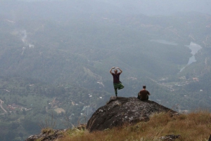 Safari en jeep et trekking dans les montagnes de Munnar