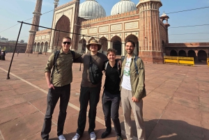 Delhi: Tagesausflug mit dem Auto von Delhi zum Taj Mahal und zum Agra Fort
