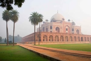 Tour naar old delhi met gids en transfer