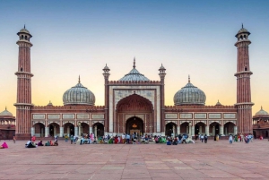 Delhi : visite d'une jounée de l'ancienne et de la nouvelle Delhi avec transferts